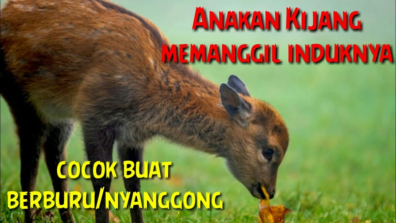 Bir boy ayol uni Kievda ogzaki jinsiy aloqa qilish uchun qidirmoqda. Yetuk retro lezbiyenlarni tomosha qiling