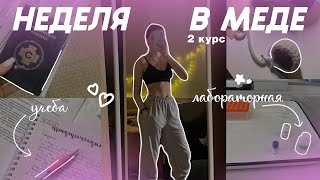 НЕДЕЛЯ в МЕДЕ|| 2 курс, измеряем АД, микра, гигиена