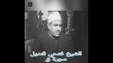 الشيخ فتحي قنديل- سورة ق