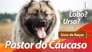 O PODEROSO PASTOR DO CÁUCASO!