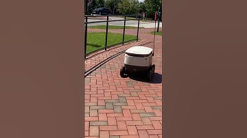 The Robot Food delivery service #shorts #short #shortvideo #robot #robots #ai #robotics