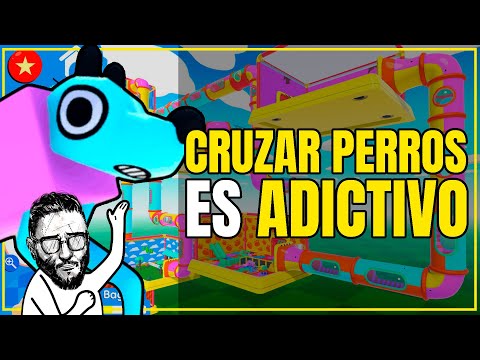 Video: ¿Dónde jugar wobbledogs?