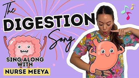 The Digestion Song | from “Where does my food go?” video