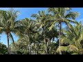 Singer Island, Riviera Beach, Florida LIVE Exploring (March 2, 2021)