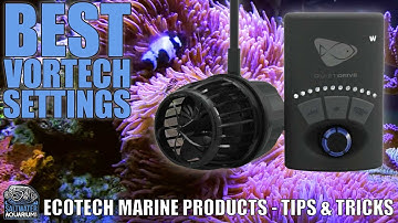 VORTECH Pump Best Settings - Ecotech Marine Products - Tips & Tricks
