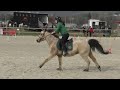 Ollagnion 2023  club elite equipe et paires   mgx