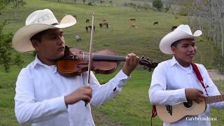 Video thumbnail of "El Trío Temple Huasteco toca "El Toro Requesón" desde Tihuatlán, Ver."