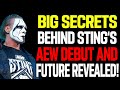 AEW And Impact Are Partners! How AEW Pulled Off Sting's Surprise Debut? Cancelled WWE Plan! WWE News