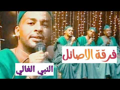فرقة الاصائل النبي الغالي تسجيل قديم