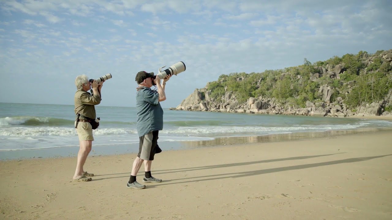 Getting Away - photographing birds in tropical North Queensland