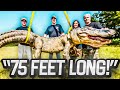 BIGGEST CROCODILE HUNTS on Swamp People