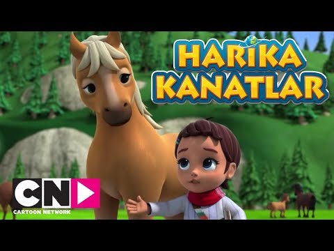 Harika Kanatlar I Kayıp Tay I Cartoon Network