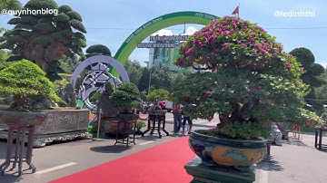 Quy Nhơn| Dàn cây cảnh đẹp triển lãm (tổng hợp)