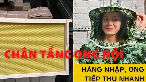 Chân Tầng Ong Nội Loại Tốt | Chân Tầng Nhập Ong Tiếp Thu Nhanh
