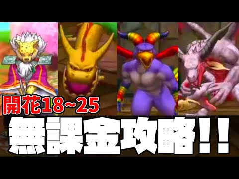 【ドラクエタクト】開花の扉18,19,20,21,22,23,24,25を無課金向けに完全攻略!高難易度はこうやってクリアしろ!!【ゲーム実況】