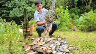 Download Lagu CEO explores mysterious stream, weaves bamboo baskets, traps, fish unexpectedly meets giant fish MP3 Download Lagu CEO explores mysterious stream, weaves bamboo baskets, traps, fish unexpectedly meets giant fish MP3