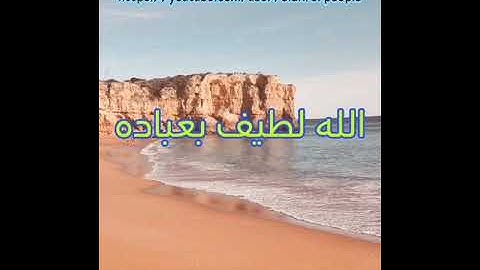 ما تيسر من سورة الشورى. أحمد الترجمان