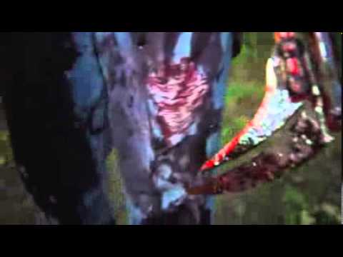 the-sky-has-fallen-horror-movie-trailer