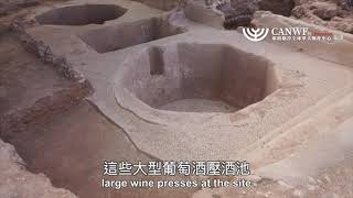 以色列考古：拜占庭帝國時期最大的釀酒廠
