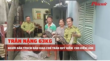 Người dân TPHCM bàn giao con trăn quý hiếm nặng 63kg cho kiểm lâm | Báo Phụ Nữ