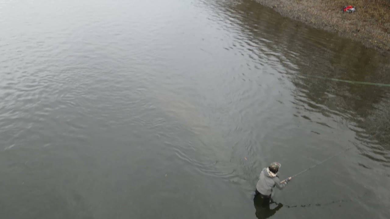 21 天塩川本流のイトウを狙う Wildlife Flyfishing Shop Nayoro Youtube