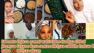 Fayyoo fi jiraa namni adaani basee hadhaa Ebbaf  video iti anuti nu egadhaa hiciti sabontu fi hadhaa