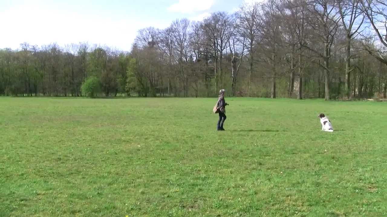 Dirigeren links en rechts - YouTube