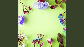 Lonely Backdrops for Decompressing World