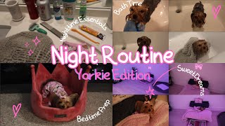 Luxury Teacup Yorkie Night Routine 🛁✨ Puppy Bath Time + Cozy Bedtime Prep 🐾💖