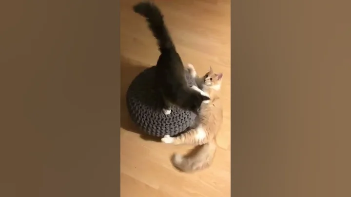 A free and fast tool for Instagram reels video download in HD. With this Instagram #reels