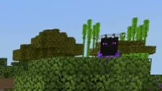 THE ENDER DRAGON FOUND IN OVERWORLD!!!