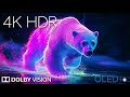 Ultimate Relaxing Nature Moments - Peaceful Music &amp; Nature Sounds.  4K HDR Dolby Vision Demo