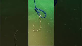 Most Reliable Fishing Knot 🏆 #FishingKnots #FishingKnot #Knot #Knots