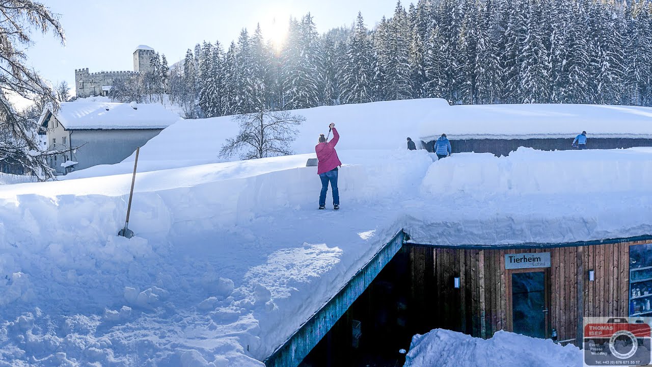 Tierfreunde befreiten Dach vom Schnee