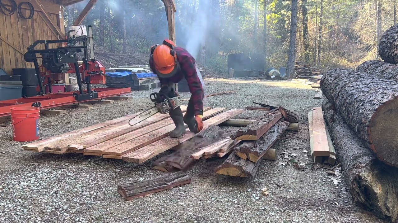 WOODMIZER LX55/BLADES/IS IT WORTH IT? - YouTube