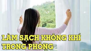 Mẹo làm sạch không khí trong nhà - Mẹo Vặt Cuộc Sống