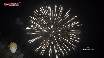 4" Shell - Silver Willow #fireworks #shell
