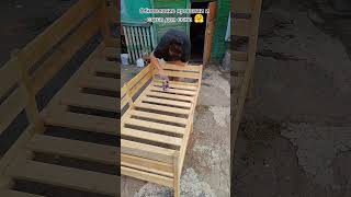 Как думаете, два слоя лака хватит?  #оченьдачныедела #рестоврация #переделка #жизньвдеревне #дача