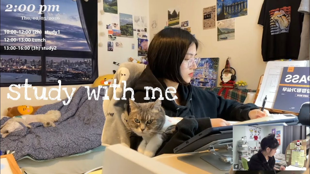 LIVE study with me/ 스터디윗미📚/ 천둥 빗소리, 장작asmr