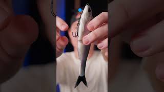 The Tarpon, Snook, and Bass Killer | Berkley Nessie Glide Bait