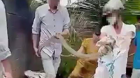 Một người đàn ông tử vong do rắn cắn