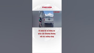 Xử phạt tài xế dừng xe giữa cầu Chương Dương vứt rác xuống sông #công_luận #tin_tức #shorts
