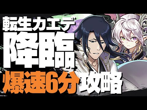 【パズル＆ドラゴンズ】転生カエデ降臨を石田雨竜×朽木白哉で周回する編成と立ち回り