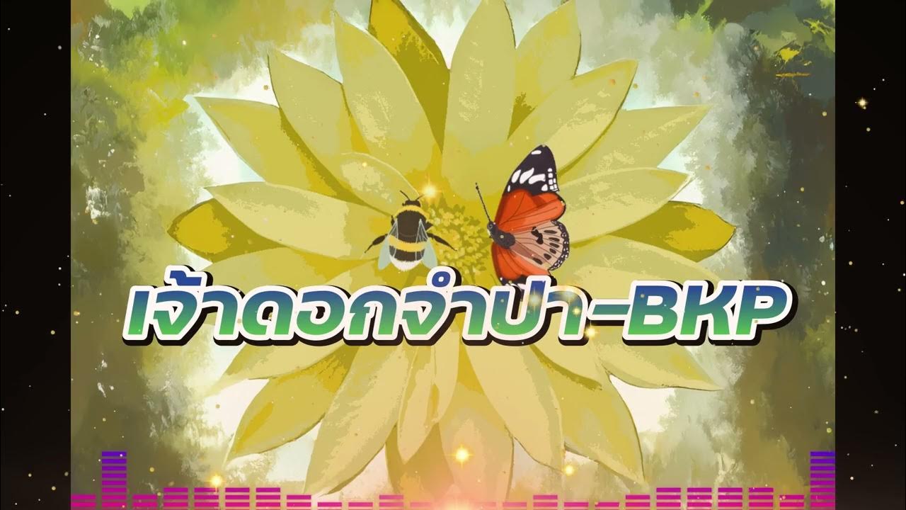เจ้าดอกจำปา-เมล ตวิษา x ตุ๊กตา นริศรา-COVER VERSION - BKP เจ้าดอกจำปา-เมล ตวิษา x ตุ๊กตา นริศรา-COVER VERSION - BKP