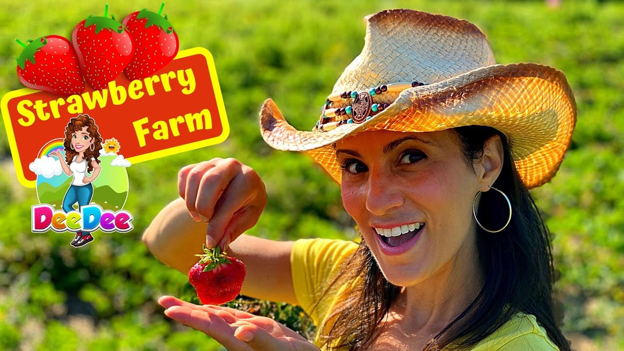 Learn About Strawberries Healthy Eating for Kids YouTube