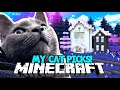 💙 My CAT Picks My Minecraft Build!