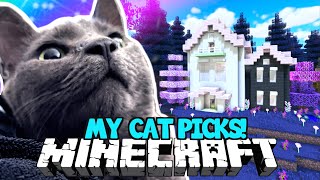 My CAT Picks My Minecraft Build!