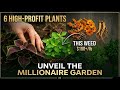 6 Profitable Plants That Will Make You a Millionaire