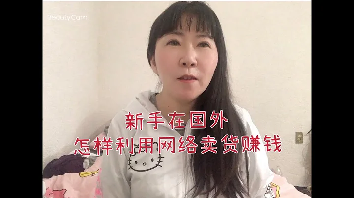 (7)新手无资金怎样从零开始开始做外贸？在国外如何利用网络卖货赚钱？（干货满满） - 天天要闻
