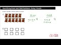 Even and Odd Numbers Quiz